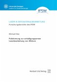 Pulsformung zur schädigungsarmen Laserbearbeitung von Silizium (eBook, PDF)