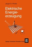 Elektrische Energieerzeugung (eBook, PDF)