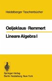 Lineare Algebra I (eBook, PDF)