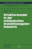 Strukturwandel in der ostdeutschen Investitionsgüterindustrie (eBook, PDF)