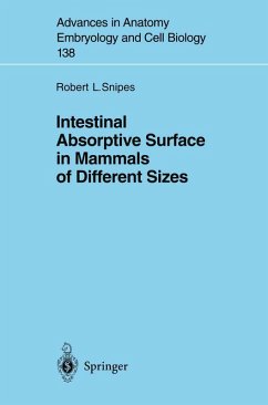 Intestinal Absorptive Surface in Mammals of Different Sizes (eBook, PDF) - Snipes, Robert L.