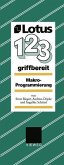 Lotus 1, 2, 3 griffbereit (eBook, PDF)