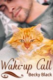 Wake-up Call (eBook, ePUB)