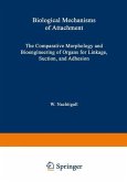 Biological Mechanisms of Attachment (eBook, PDF)