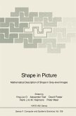 Shape in Picture (eBook, PDF)