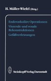 Endovaskuläre Operationen Viszerale und renale Rekonstruktionen Gefäßverletzungen (eBook, PDF)