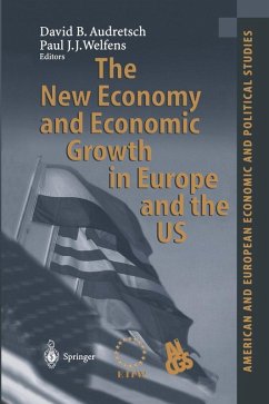 The New Economy and Economic Growth in Europe and the US (eBook, PDF)