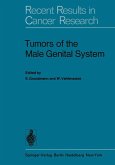 Tumors of the Male Genital System (eBook, PDF)