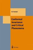 Conformal Invariance and Critical Phenomena (eBook, PDF)