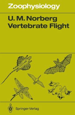 Vertebrate Flight (eBook, PDF) - Norberg, Ulla M.