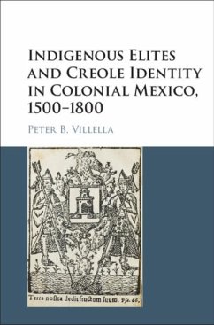 Indigenous Elites and Creole Identity in Colonial Mexico, 1500-1800 (eBook, PDF) - Villella, Peter B.