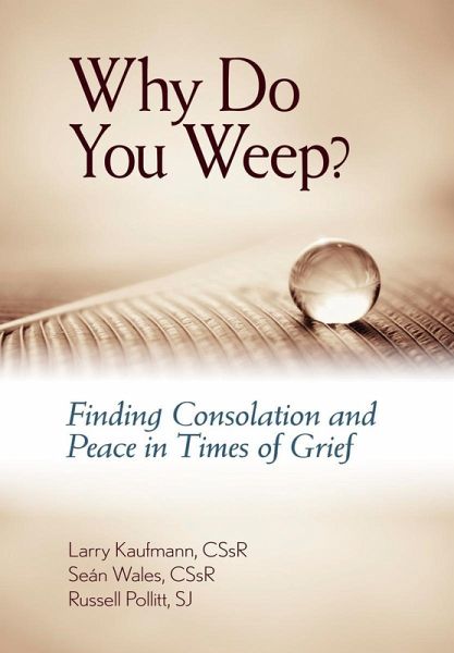 Why Do You Weep? (eBook, ePUB)