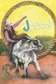 Jailbreak (eBook, ePUB)