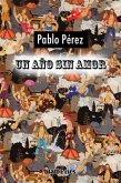 Un año sin amor (eBook, ePUB)