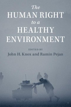 Cover Human Right to a Healthy Environment (eBook, PDF)