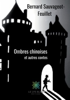 Ombres chinoises (eBook, ePUB) - Sauvageot-Feuillet, Bernard