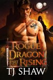 Rogue Dragon Rising, part one (Outside the Veil, #1) (eBook, ePUB)
