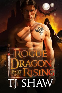 Rogue Dragon Rising, part one (Outside the Veil, #1) (eBook, ePUB) - Shaw, Tj