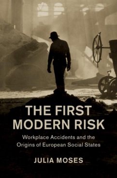 First Modern Risk (eBook, PDF) - Moses, Julia