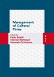 Management of Cultural Firms (eBook,... - Bild 1