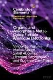 Organic and Amorphous-Metal-Oxide Flexible Analogue Electronics (eBook, PDF)