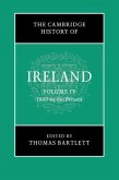 Cambridge History of Ireland: Volume 4, 1880 to the Present (eBook, PDF)