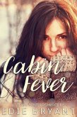 Cabin Fever (A Steamy Winter Romance) (eBook, ePUB)