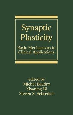 Cover Synaptic Plasticity (eBook, PDF)