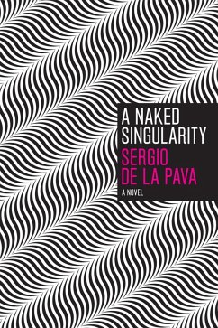 Cover A Naked Singularity (eBook, ePUB)