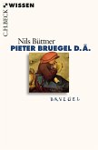 Pieter Bruegel d.Ä. (eBook, ePUB)