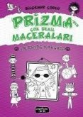 Galeride Kargasa - Prizmanin Cok Sekil Maceralari