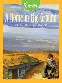 Home in the Ground (eBook, PDF)