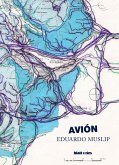 Avión (eBook, ePUB)