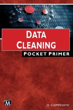 Cover Data Cleaning Pocket Primer (eBook, ePUB)