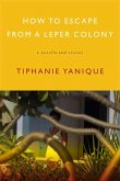 How to Escape from a Leper Colony (eBook, ePUB)