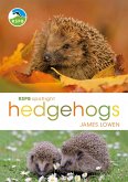 RSPB Spotlight Hedgehogs (eBook, ePUB)