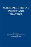 Macroprudential Policy and Practice (eBook, PDF)