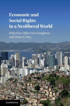 Economic and Social Rights in a Neoliberal World (eBook, PDF)