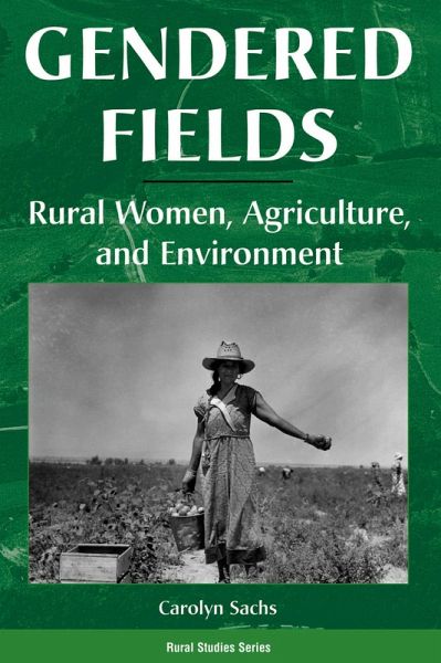 Gendered Fields (eBook, PDF)