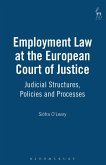 Employment Law at the European Court of Justice (eBook, PDF)