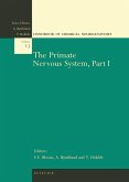 The Primate Nervous System, Part I (eBook, PDF)