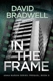 In The Frame: Series Prequel Mystery Novella (Anna Burgin, #0) (eBook, ePUB)