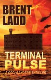 Terminal Pulse (eBook, ePUB)