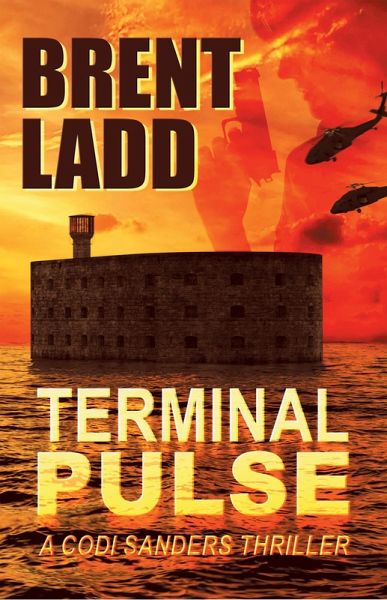 Terminal Pulse (eBook, ePUB) Terminal Pulse (eBook, ePUB)