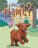 What's My Name? (eBook, ePUB) What's My Name? (eBook, ePUB)