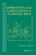 Combustion and Gasification in... - Bild 1