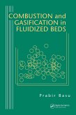 Combustion and Gasification in Fluidized Beds (eBook, PDF)
