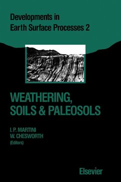 Cover Weathering, Soils & Paleosols (eBook, PDF)