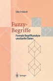 Fuzzy-Begriffe (eBook, PDF)