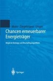 Chancen erneuerbarer Energieträger (eBook, PDF)